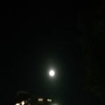 満月は見ている